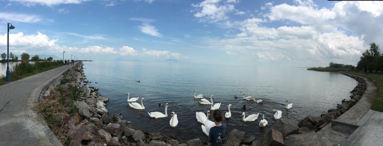 Villa Maximilian Balatonkeresztúr Esterno foto